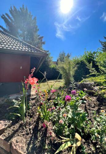 Ferienhaus Odenwald