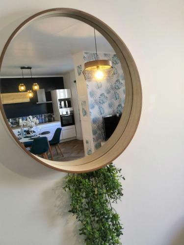 Apartamento Jungle Paradise - Casa Vostra - Gaillard Proche Tram-fronti�re