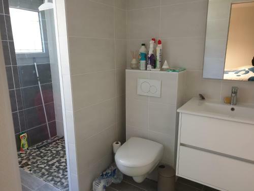 Maison Individuelle Au Calme Dans Jardin Clos