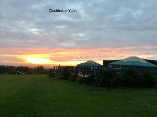 Colourful Mongolian Yurt Enjoy A New Experience