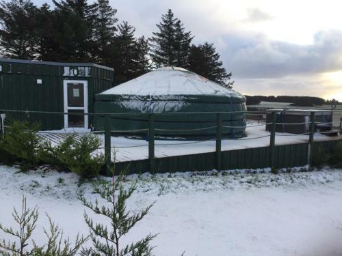 Colourful Mongolian Yurt Enjoy A New Experience