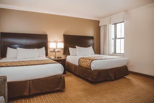 Chicago South Loop Hotel