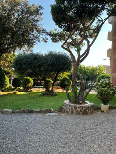 Apartamento 50m Playa Con Pk Gratuito