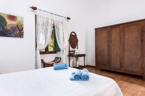 Hist�rica Villa Con Molino De Viento