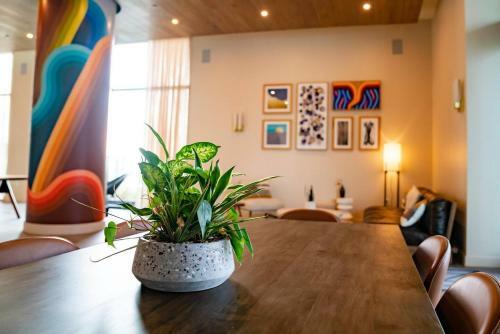 Apartamento New! Luxury Downtown Austin Rainey St. Lake View!
