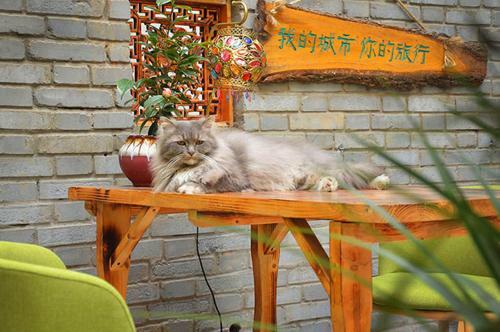 Luoyang Longmen Youth Hostel