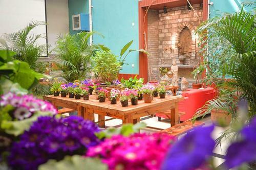 Luoyang Longmen Youth Hostel