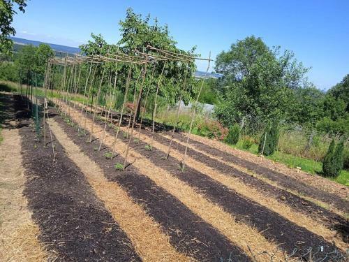 Charmant G�te Haut-marnais