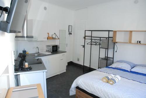Apartamento Studio Nancy Quartier Thermal - Parc Sainte-marie