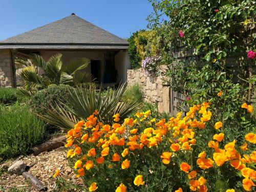 Maison Neuve Dans Un Village Typique De Bord De Mer