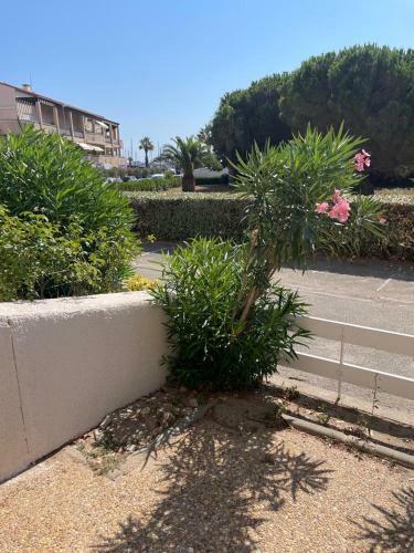Apartamento Rez De Chauss�e � La Plage
