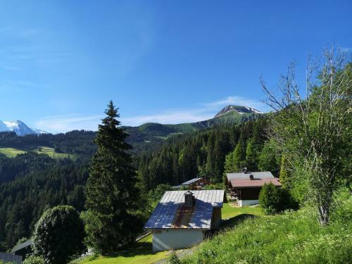 Apartamentos Duo Des Alpages