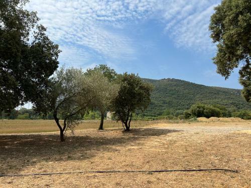 Mas Grenadine, Magnifique Villa Du Pi�mont C�venol
