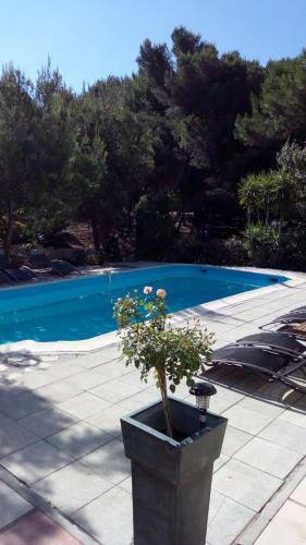 Bed & Breakfast La Petite Maison Dans Les Pins