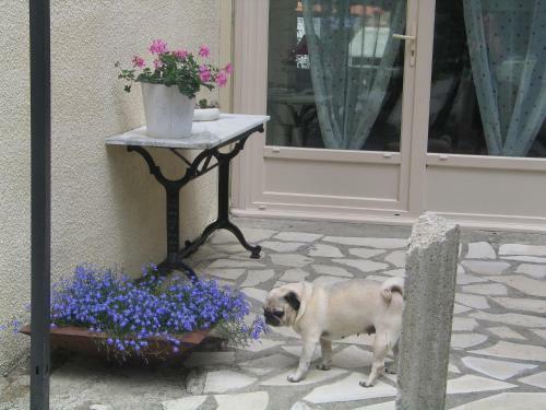 Bed & Breakfast La Petite Maison Dans Les Pins