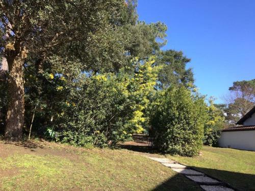 Hossegor, Villa � 100 M Du Lac Marin