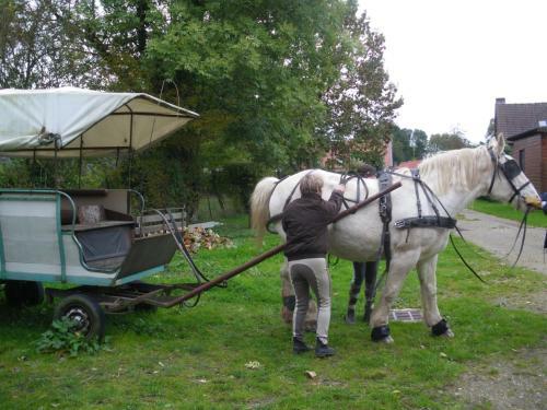G�te Et Relais Equestre De Marie