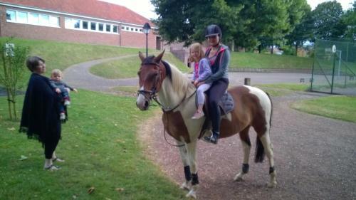 G�te Et Relais Equestre De Marie