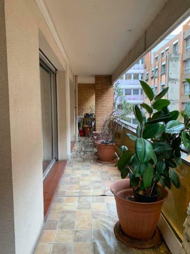 Apartamento 100 M With Parking And Balcony In The Hypercenter