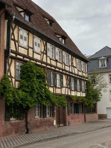 Apartamento Logement Tout Confort - Wifi - Parking