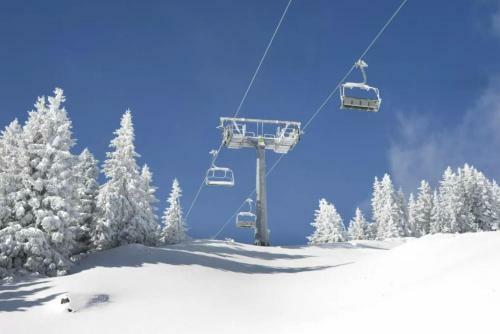Apartamento Studio 2 Alpes 1800, Pied Des Pistes