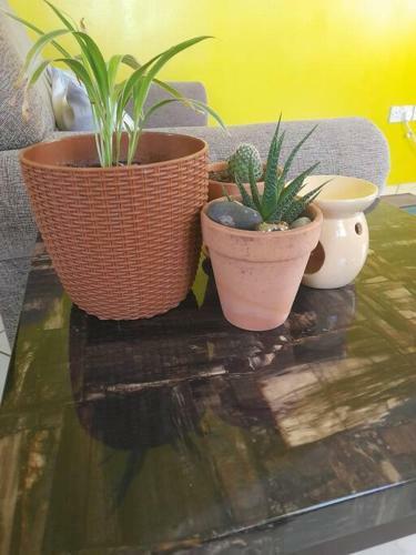 Apartamento Bougainvillea House
