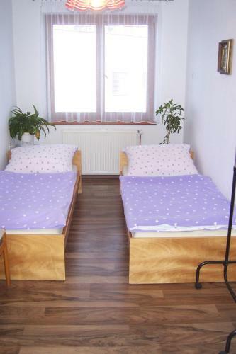 Apartamento Ubytovani Trojakova