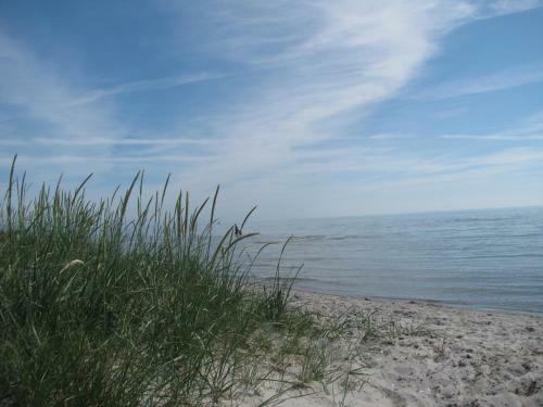 Asaa Camping & Cottages