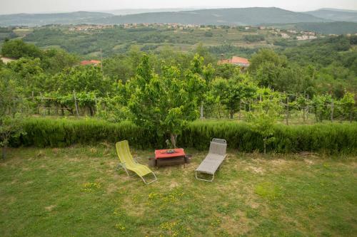 Apartments In The Countryside Of Koper