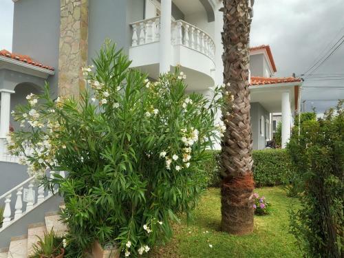 Luxury Apartment 4 Bedrooms Pool In Marisol
