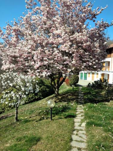 Apartamento Appartamento A Due Passi Da Burcina