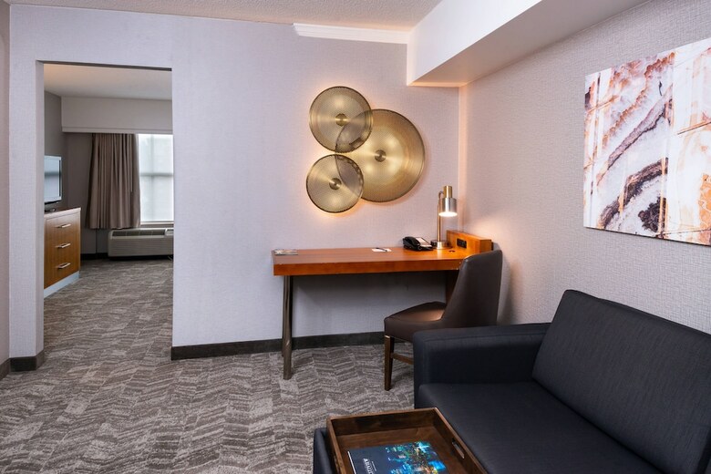 Hotel Springhill Suites By Marriott Pittsburgh North Shore