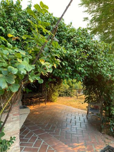 Ludovica?s Home Casa Vacanze