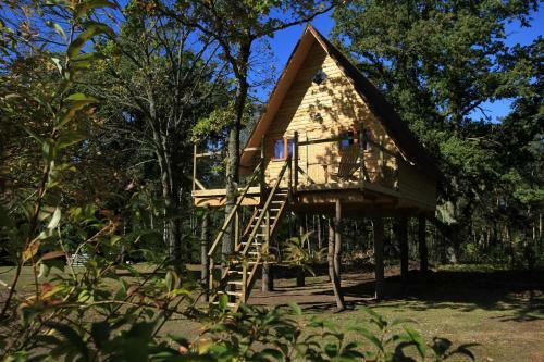Bed & Breakfast Le Nid Dans Les Bruy�res