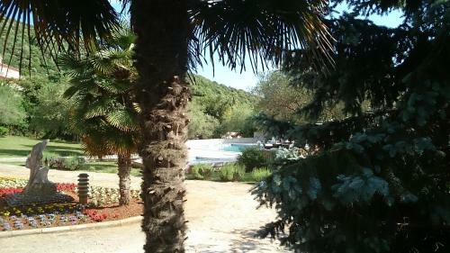 Hotel Carmen