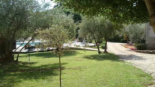 Hotel Carmen