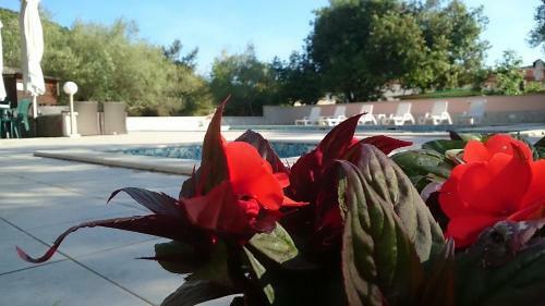 Hotel Carmen
