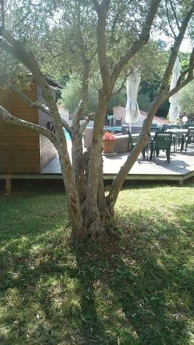 Hotel Carmen