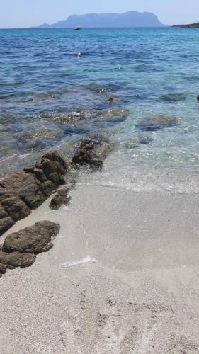 Appartamento - Villaggio Terrata- Golfo Aranci