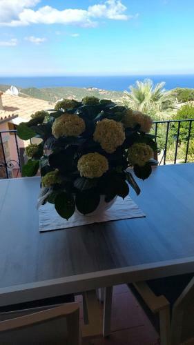 Apartamento Appartamento Rosi A San Teodoro
