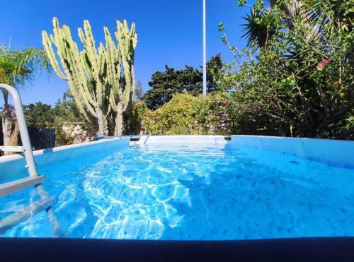 In Villa Con Piscina E Jacuzzi A San Leone
