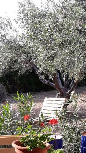 Agroturismo Villa Poggio Mos�