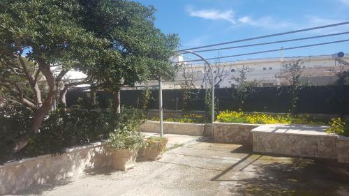 Villa Emanuele - A Soli 100 Mt Dal Mare