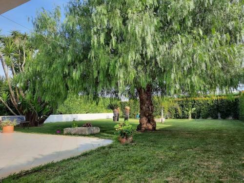 Villa Apulian House Garden