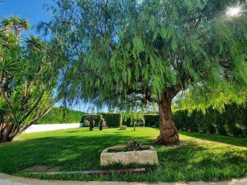 Villa Apulian House Garden