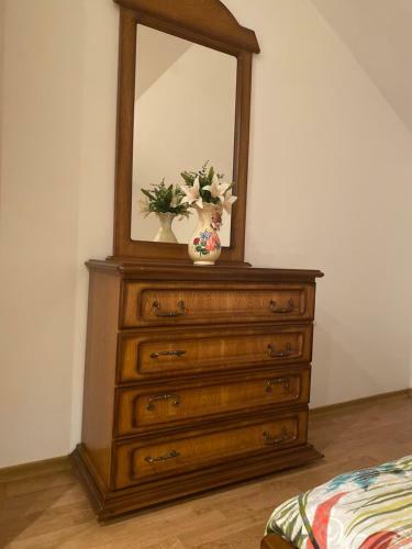 Hostal Pensiunea Crina-elena