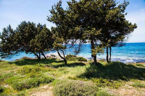 A House Between Ancient Olympia And The Ionian Sea