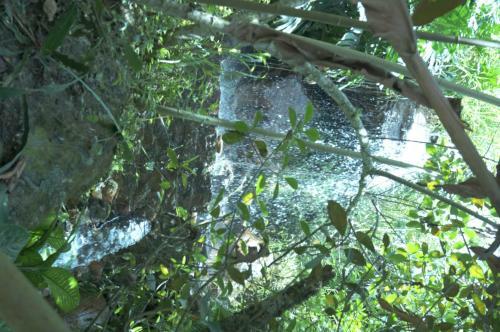 Lodge Finca Agualinda