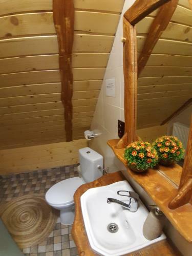 Lodge C?su?a Din Pove?ti - Vatra