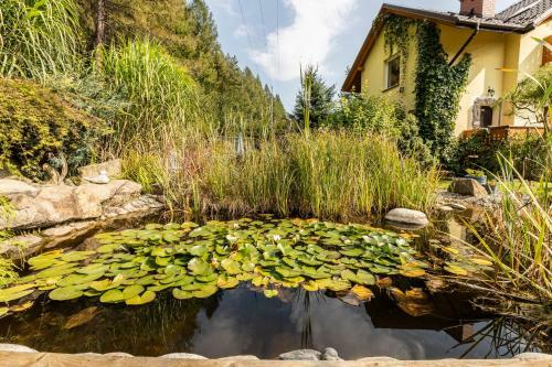 Apartamenty Zielona Owieczka